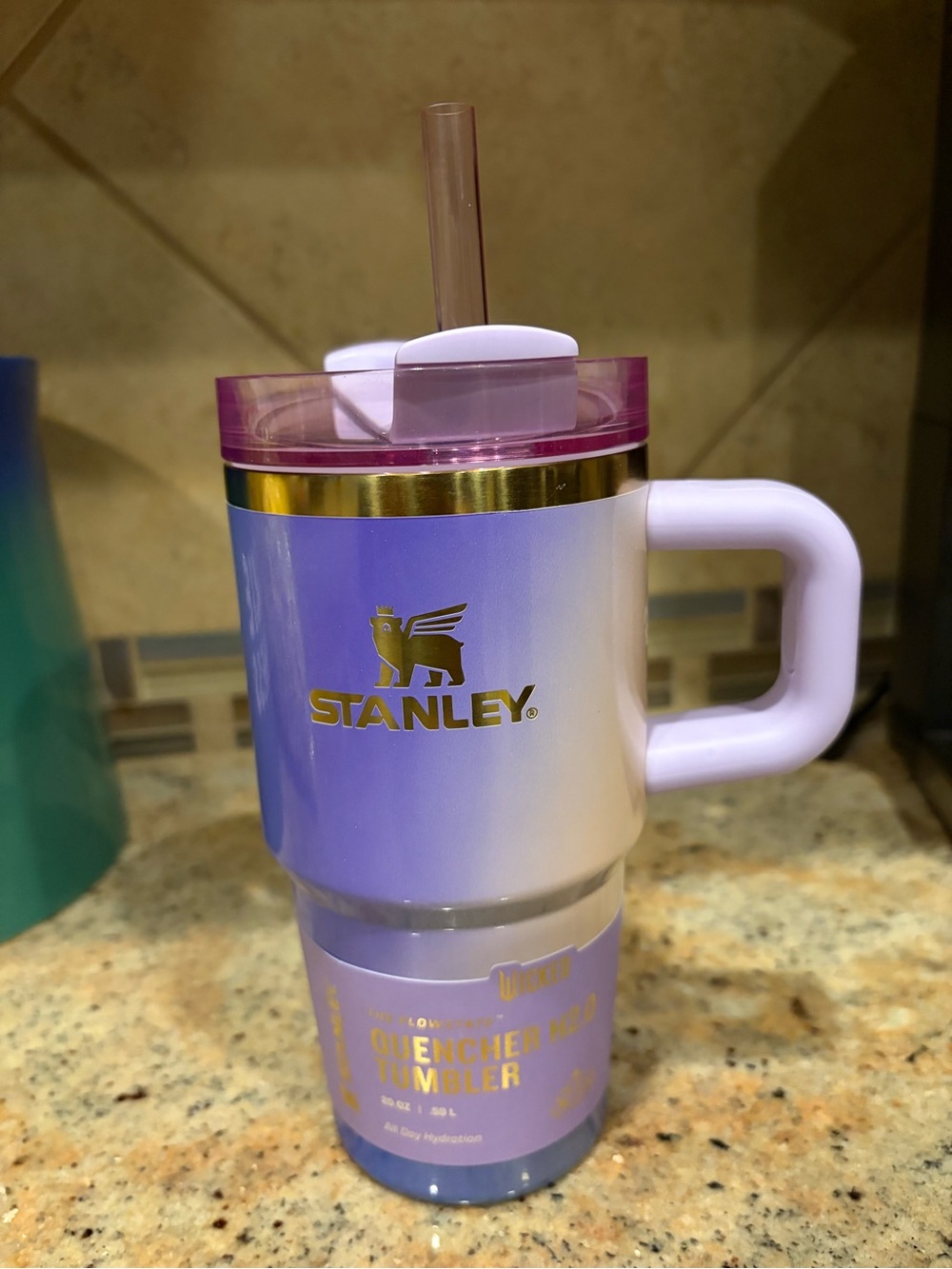 Wicked Stanley Quencher H2.0 Tumbler with Handle
